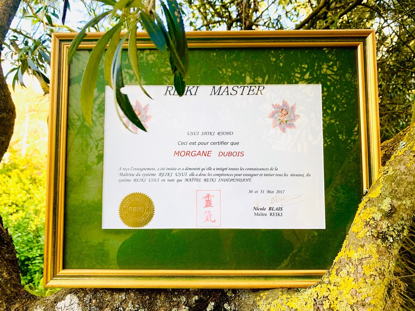 diplome-reiki-Morgane-Dubois