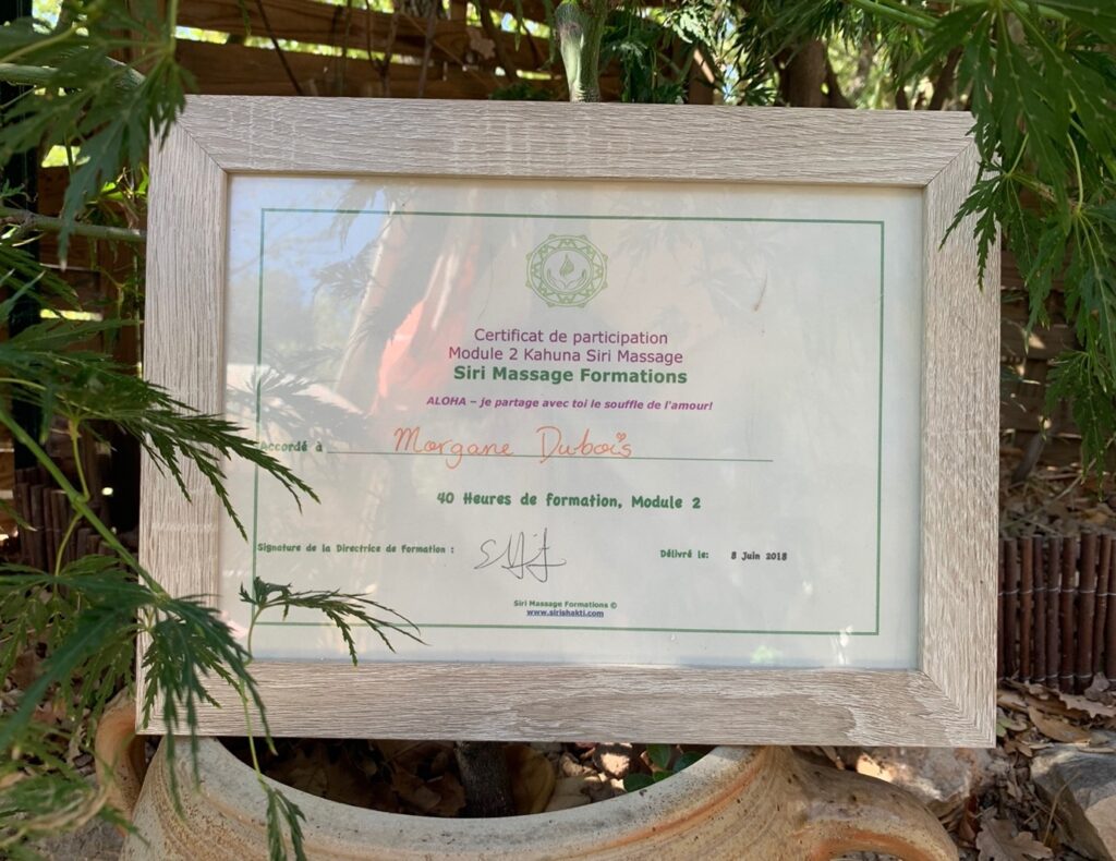 Certificat Siri Massage Formations Module 2